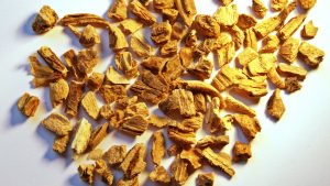 radici della genziana secche