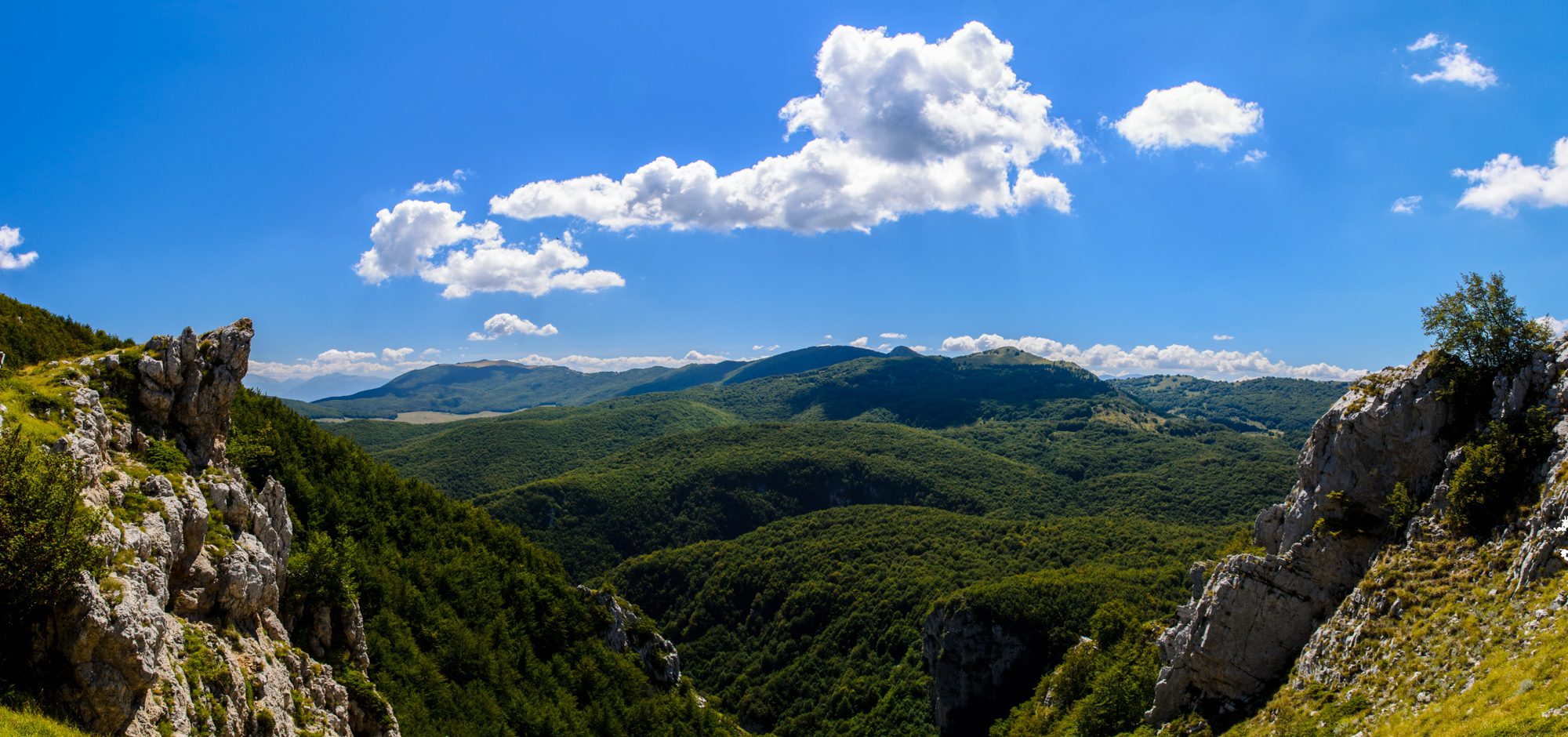 La genziana nasce qui in abruzzo